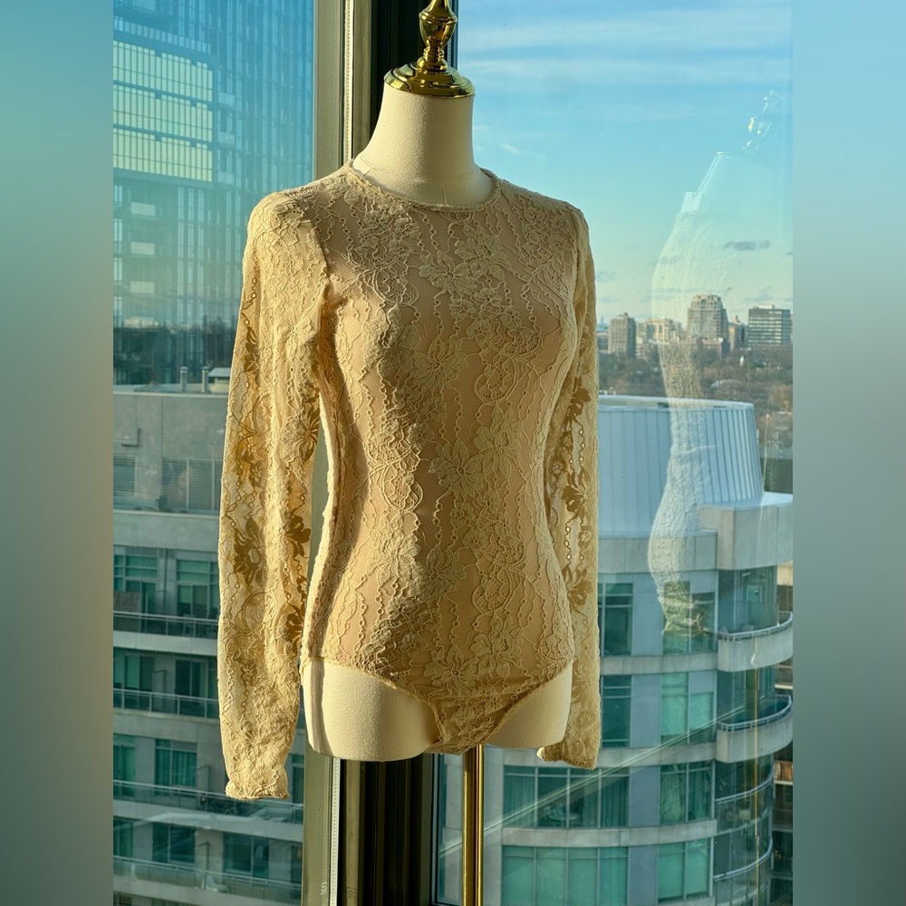 Zimmermann Beige Lace Long-Sleeve Bodysuit - Picture 9 of 16